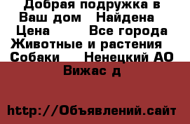 Добрая подружка,в Ваш дом!!!Найдена › Цена ­ 10 - Все города Животные и растения » Собаки   . Ненецкий АО,Вижас д.